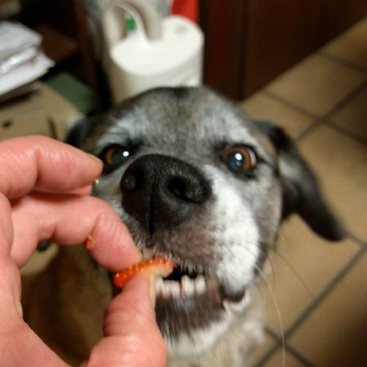 211002c1 8504 45bf 80bf 7f50bee44fbe