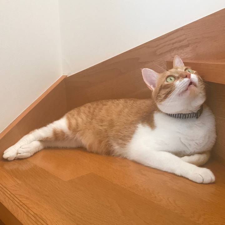 211007d9 a013 4f65 bb4a 387a7e004fa5