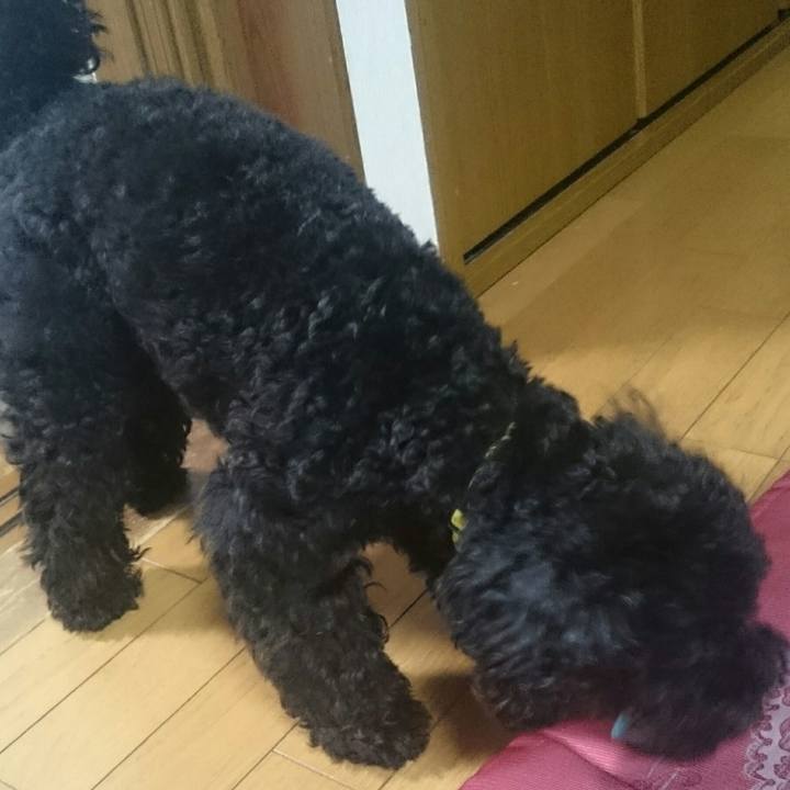 211044fc 9cf6 46e0 b00b e8745bffe6b8