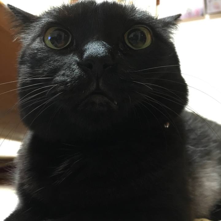 211065d7 8042 4e41 8c43 2926319b2e96