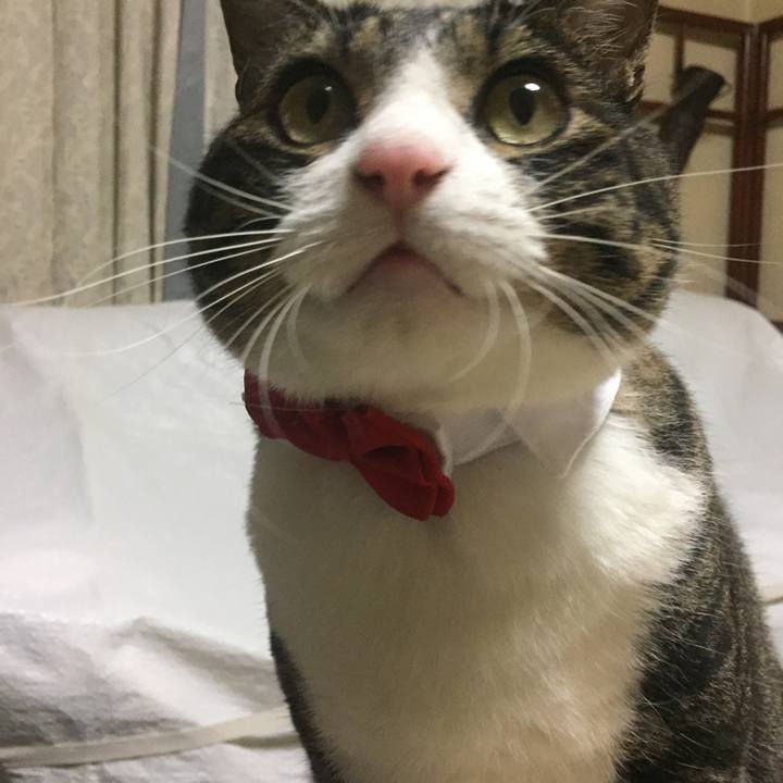 21106ca6 de4b 4789 9d57 ba58c2273af7