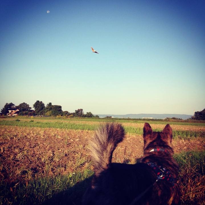 2110e07d 00c7 482c a654 693308e6e08c