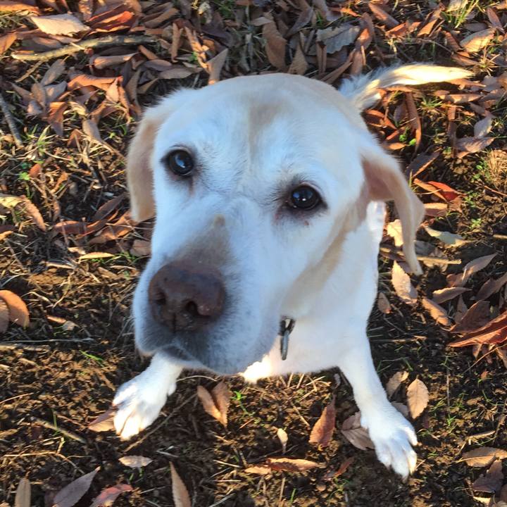 21110b58 01d8 425e ae38 d5fa7d09f3f8