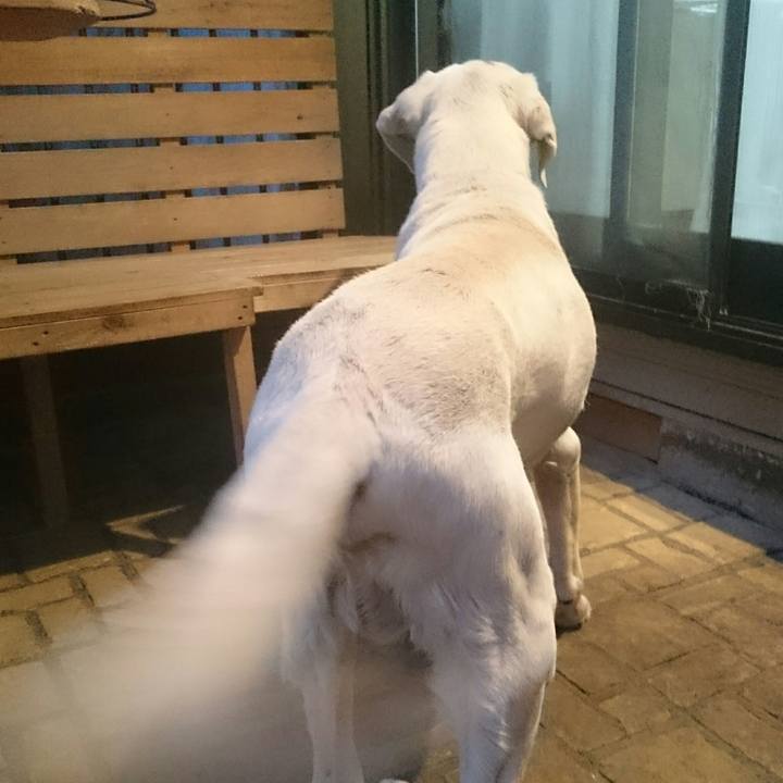 21112adb a6a8 406d 8b03 d234d1f8b13e