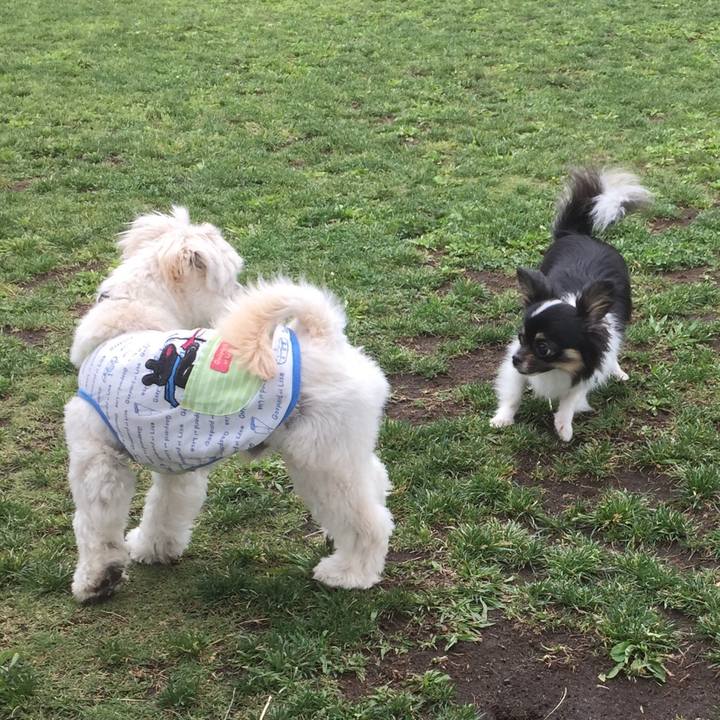 21115ae4 31ed 4d6f b725 b7dfd9479a92