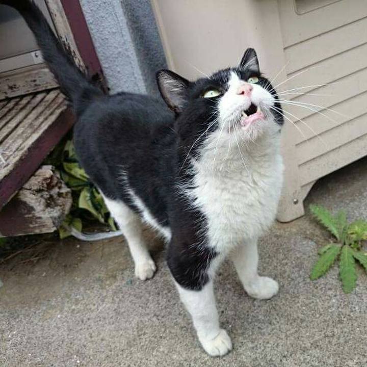 211181d1 acbc 4d9e bc3d 5789a04f51d5