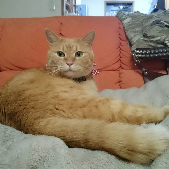 2111be06 d0f4 4305 9f65 ce256af59e66