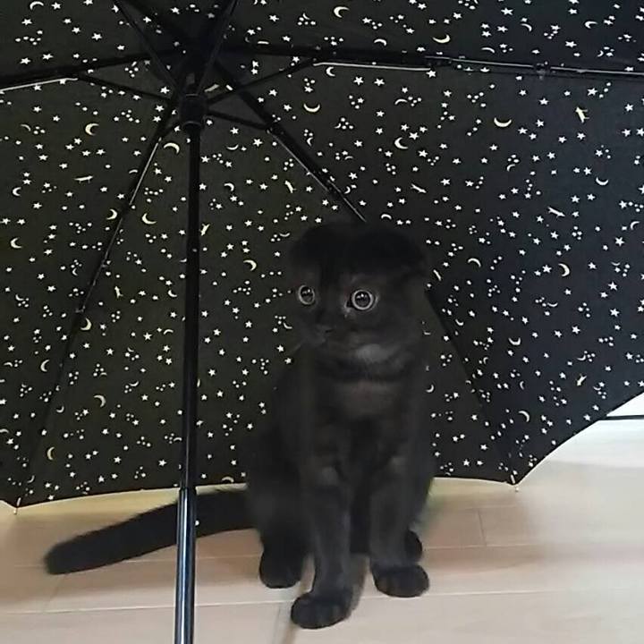 2111c2d4 5a01 45fe b15b 4c1af06faad1