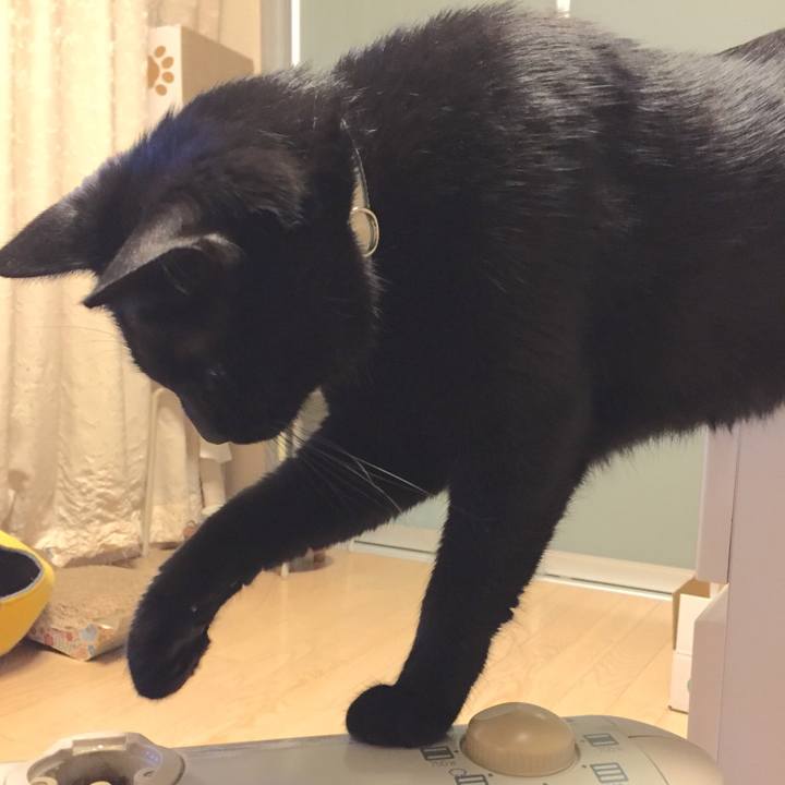 21123361 f023 415e 841c 2d31d97d4e87