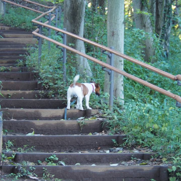 211287f0 6a23 47b3 9e0b 5ee285860a23