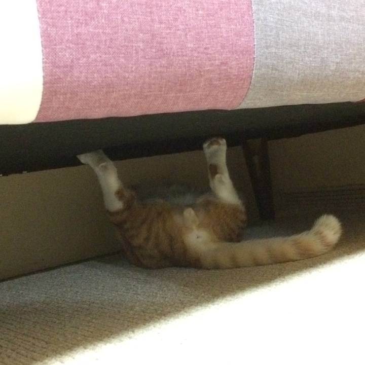 21137873 52b3 4aa4 81cd ccdef88f5e36