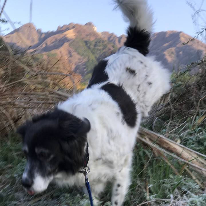 211399b7 e142 4075 8cf1 e9c9fe3a7444