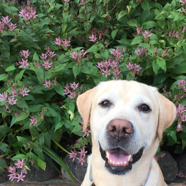 2113bb01 bebc 408f 8311 48964ecb3a5b