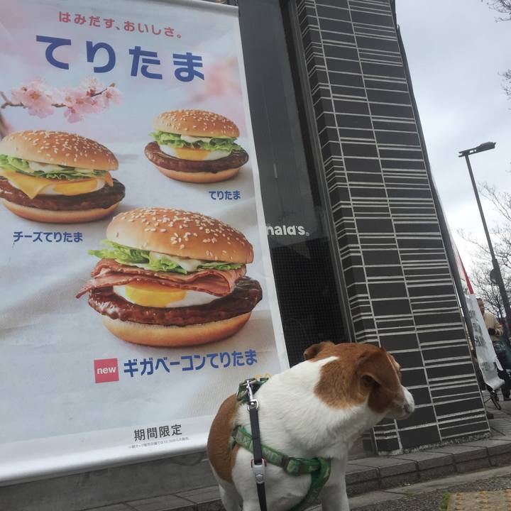 2113e337 3eac 44b7 b864 a1e5e53c3e2d