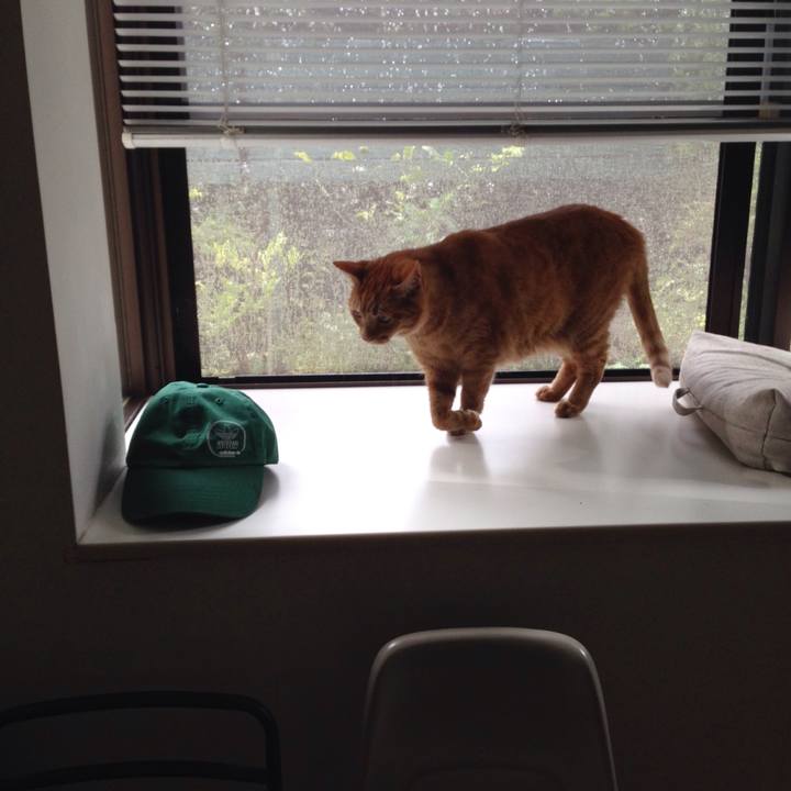 2114498d 18f2 4a56 9a79 50f31888749c