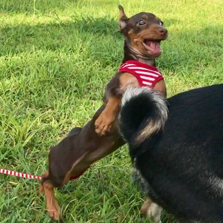 2114e9c2 7d8c 49ea 8dfb 0a8416eb1a93