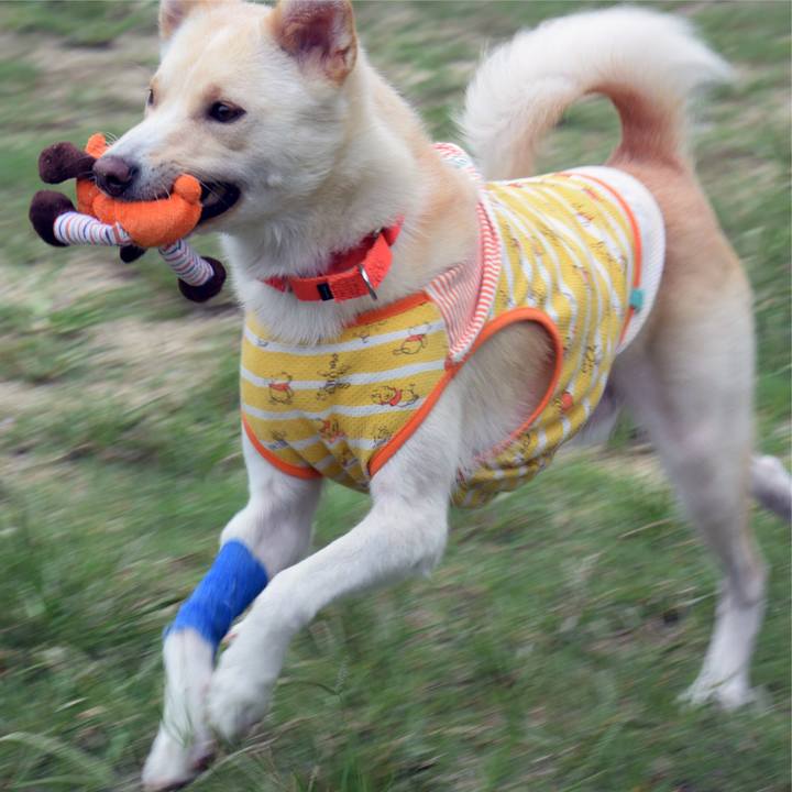 21158169 2632 4492 a6d9 9e2b9af2fd5d