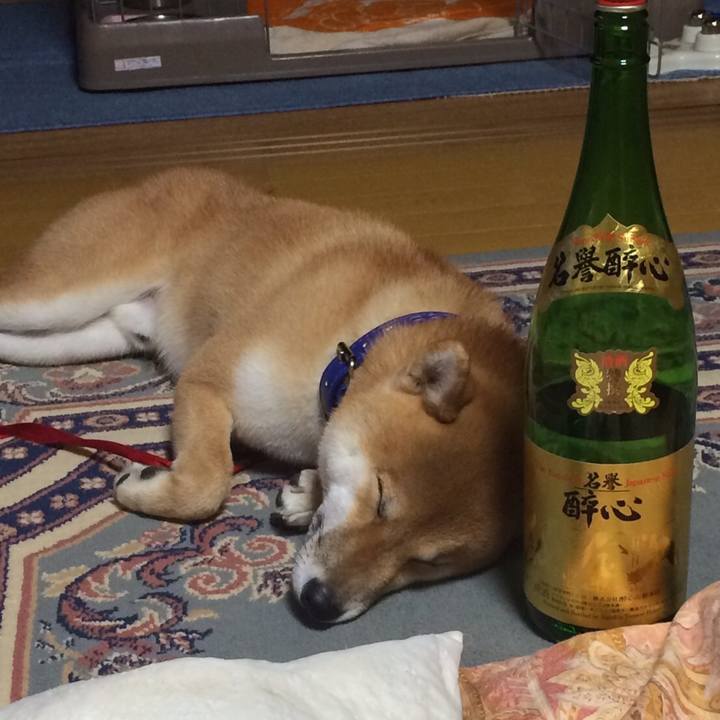 2115893a c215 43fc b72b a24fae01d107