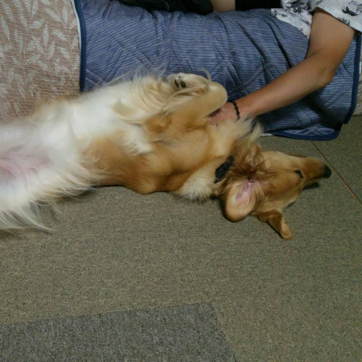 2115ec2f b25d 4fae 850e acce988dfed2