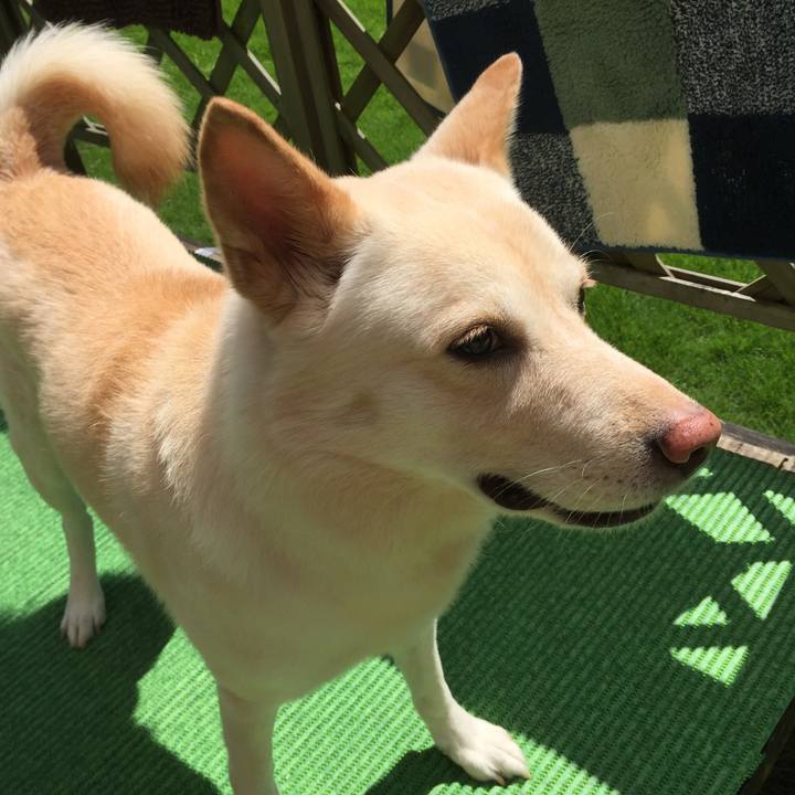 21164a43 61ea 48c4 88d3 b58077e03b8c