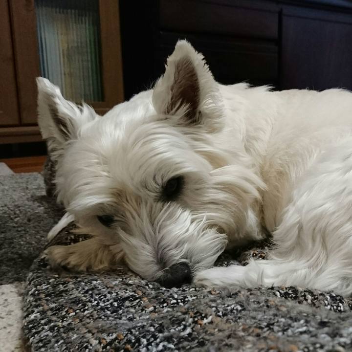 2116c407 06f9 4d87 9732 68678c68a290