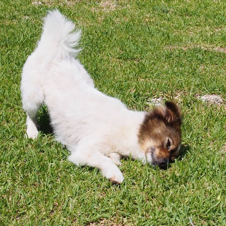 2116f4ec 5c83 4cc1 b395 0ff0e7ad1ac4