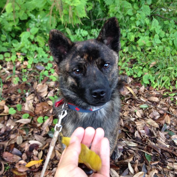 2116f529 3a36 4610 ac5c cb41588b2460