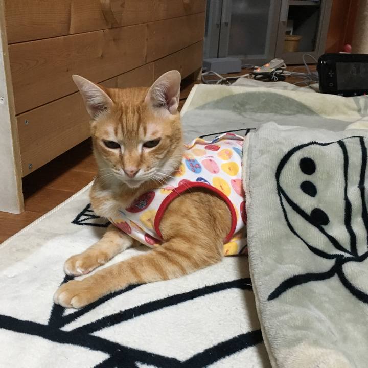 2117085c e303 4aad ab57 6d3372d3382e