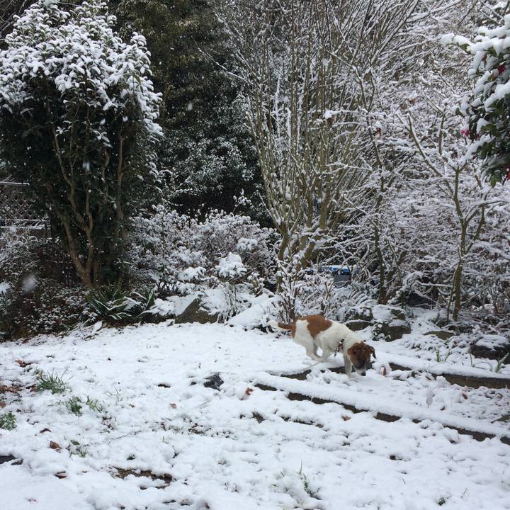 21176271 f443 4e04 8809 d3e7a3f5ed4c