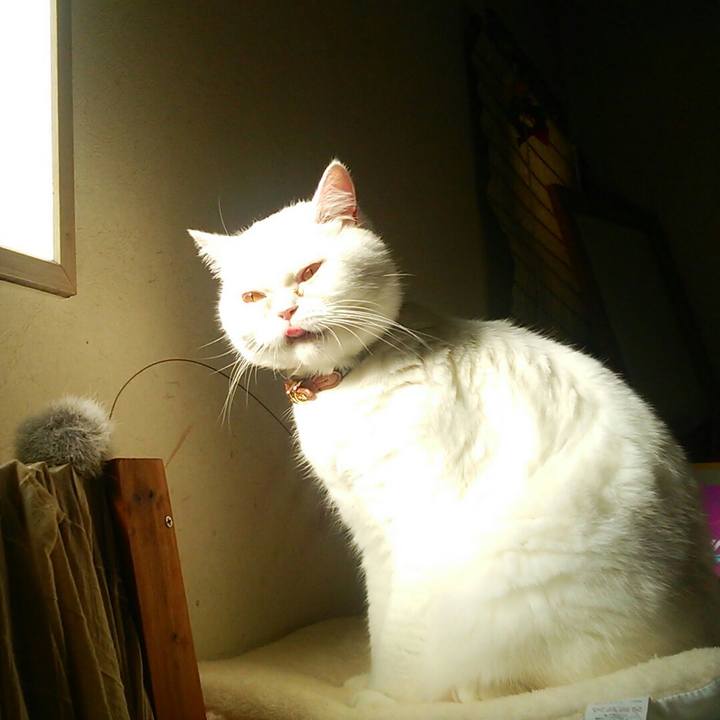 2117b72f 6563 459b a6ac 8faf8911ab81