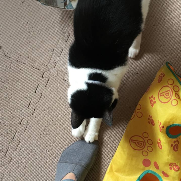 2118a3f1 bd7a 4989 8ef7 268e06a1ae87