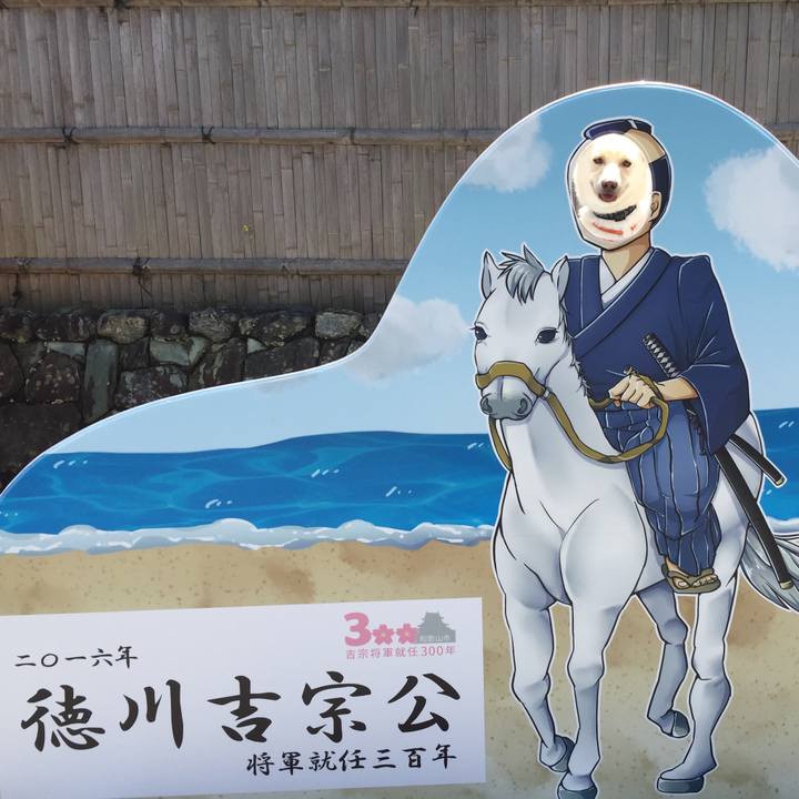 21190f7a 24b4 4c1d 934a 96bff6506dca