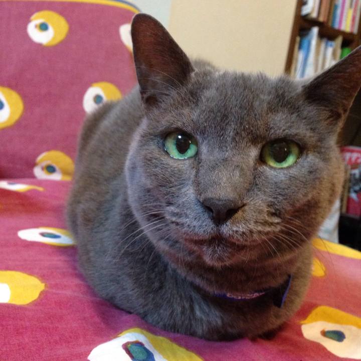 21192a75 88a4 45d1 947d 329aefafc8c2