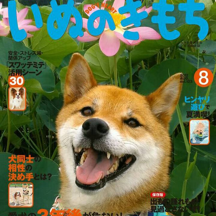 211a7458 5af6 4cec 9975 5f13340fb777