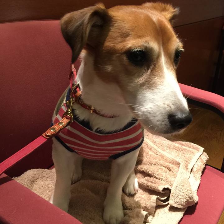 211aad88 1597 4cf1 acae a739ce7b3f3b