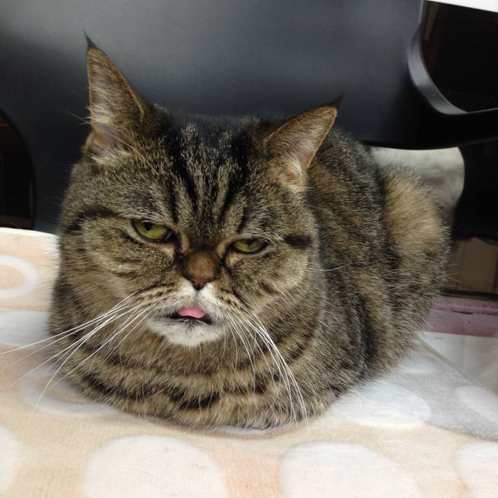 211ad2af b728 4a34 9c52 45af3907700a