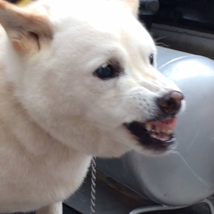 211b0b97 5cbd 40ff a0be 179edd3171a1