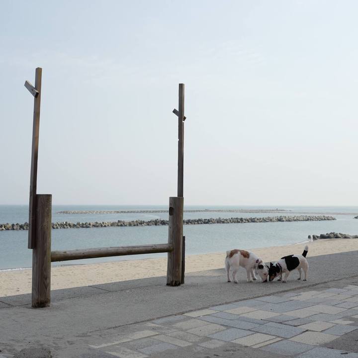 211c1890 7b49 456b b1e9 7554e2c24a62