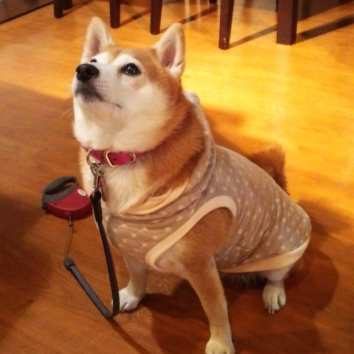 211c2806 83a9 4770 b1d1 36cf3ef43958