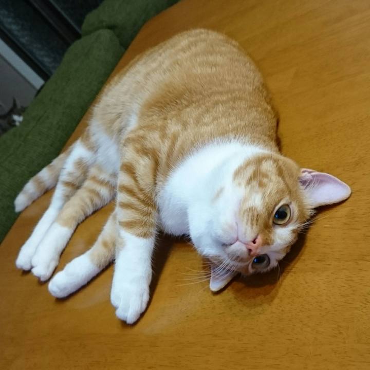 211d0d1b c79e 4d41 9a6e 240e1af0c4be