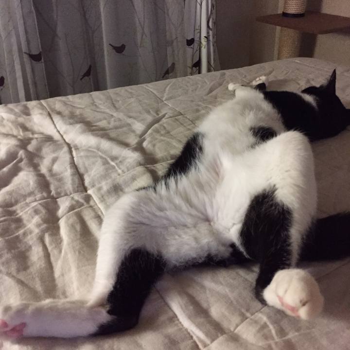 211d39ba 4301 4df5 bf2c 9ec933e50514