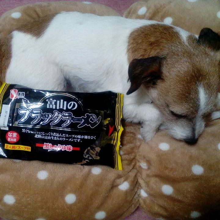 211d6e28 b15e 4a9e 893f efab3f2936f9