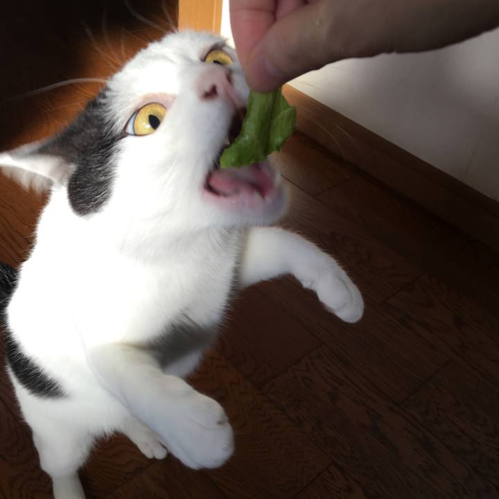 211de80d 7028 4acf 964b 6fc90e6d7dc8