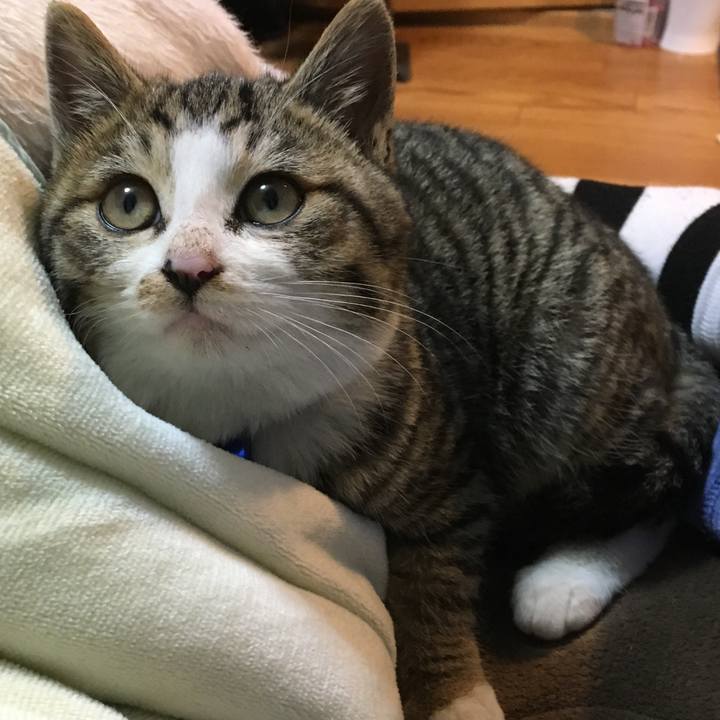 211e1477 cc24 4548 bac8 ca554ee003ad