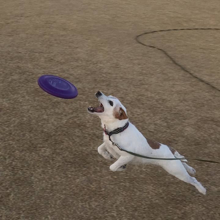 211e74b1 b61a 4e24 9862 8acb2fbcb081