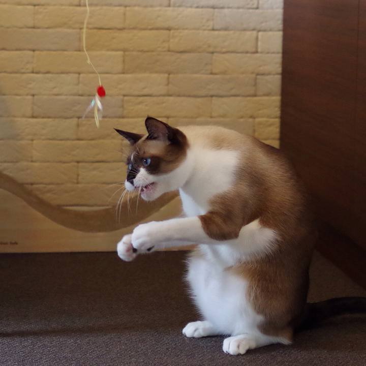 211e9732 1ef8 4755 920d a7cd143812ca