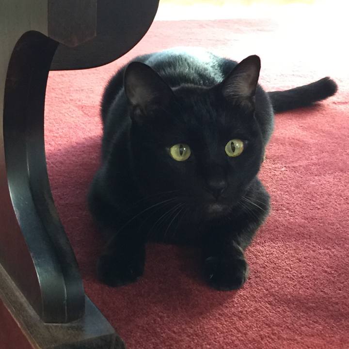 211ec7e7 4a28 42fc 9123 da3ef67ce1fa