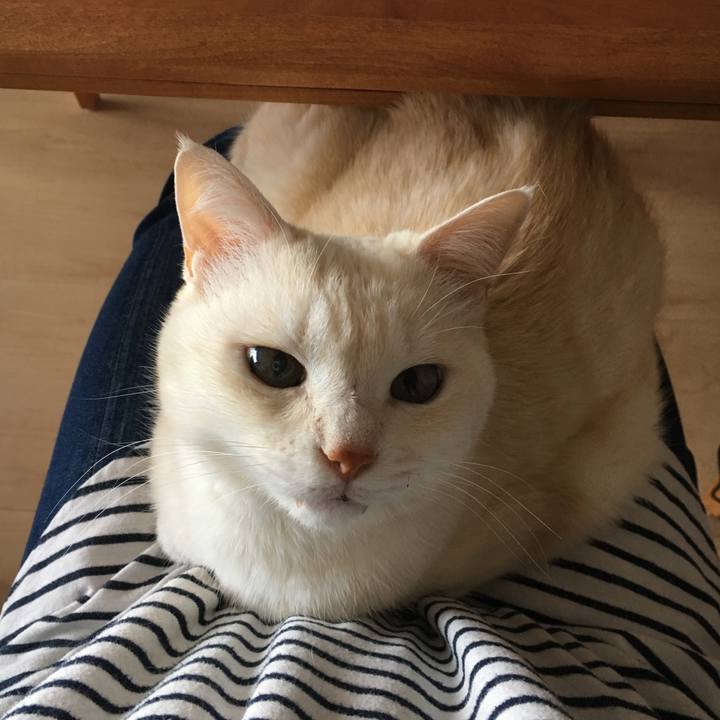 211ee9fb a69d 4cfe 9192 01fe883d0c77