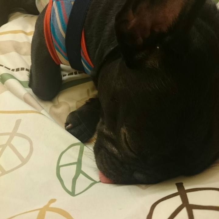 211f7aeb c818 4e38 abce c0578ee9e880