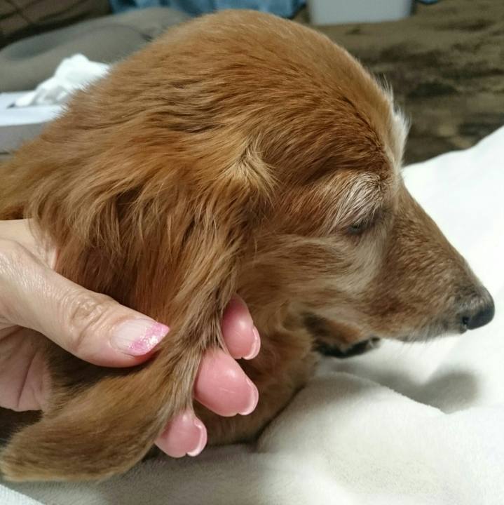 2120178e 9a43 4831 819b ccdb9d788ebf